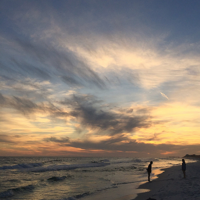 33406150073_8db88b07e6_z