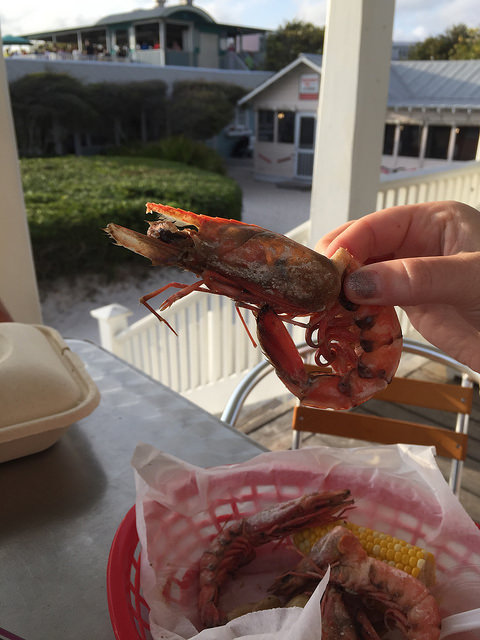 33831937270_3f12578e33_z