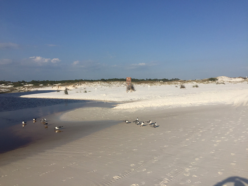 34059434002_9f8bafb1d0_c