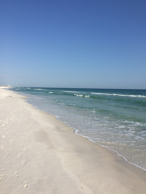 34176133916_6257c3353c_z