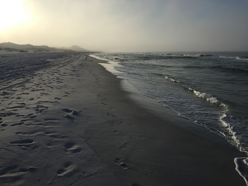 34216217615_280d66e91a_c