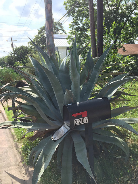 34461341603_dbdeb17f4e_z