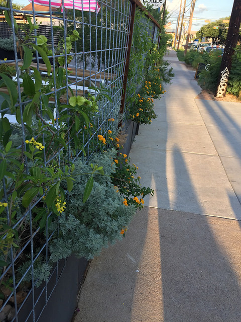 34461516543_375200923e_z