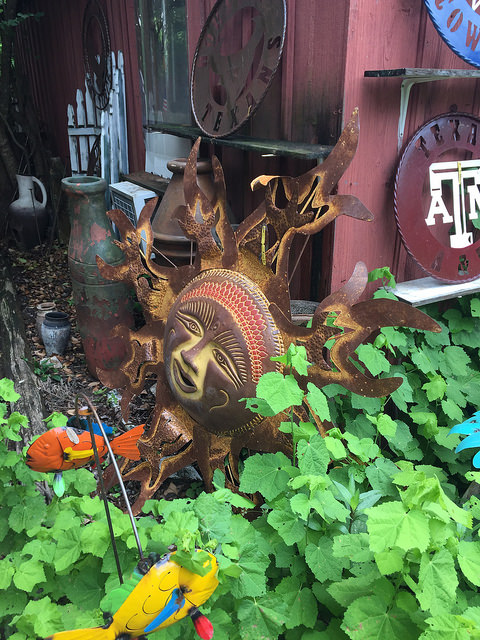 34883554150_82e4b11631_z