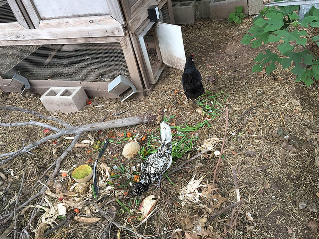 34883946680_e9b6cd45be_z