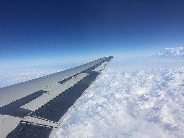 35106958176_a4ae7b9a64_z