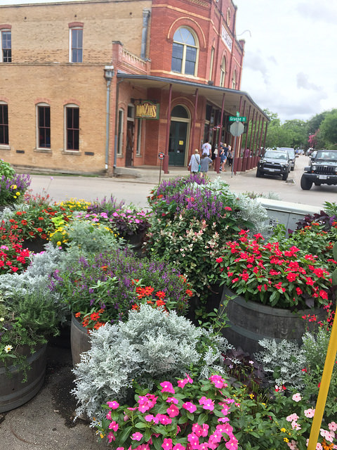 35140664511_c892a95e83_z