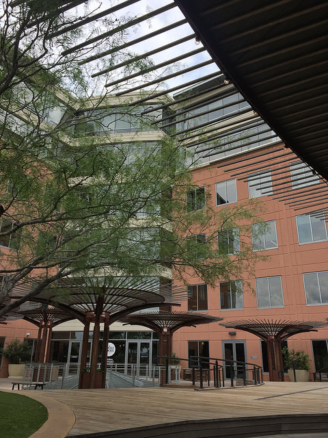 35140958561_534412b689_z