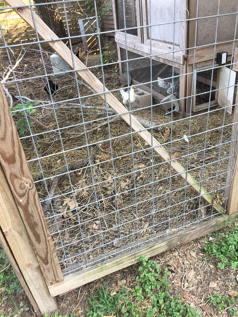 35147098155_acd9f7e9e8_z