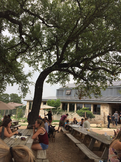 35230426366_3b0e59b334_z