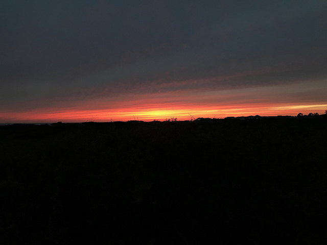 26456093537_ec2a5ddbf5_z