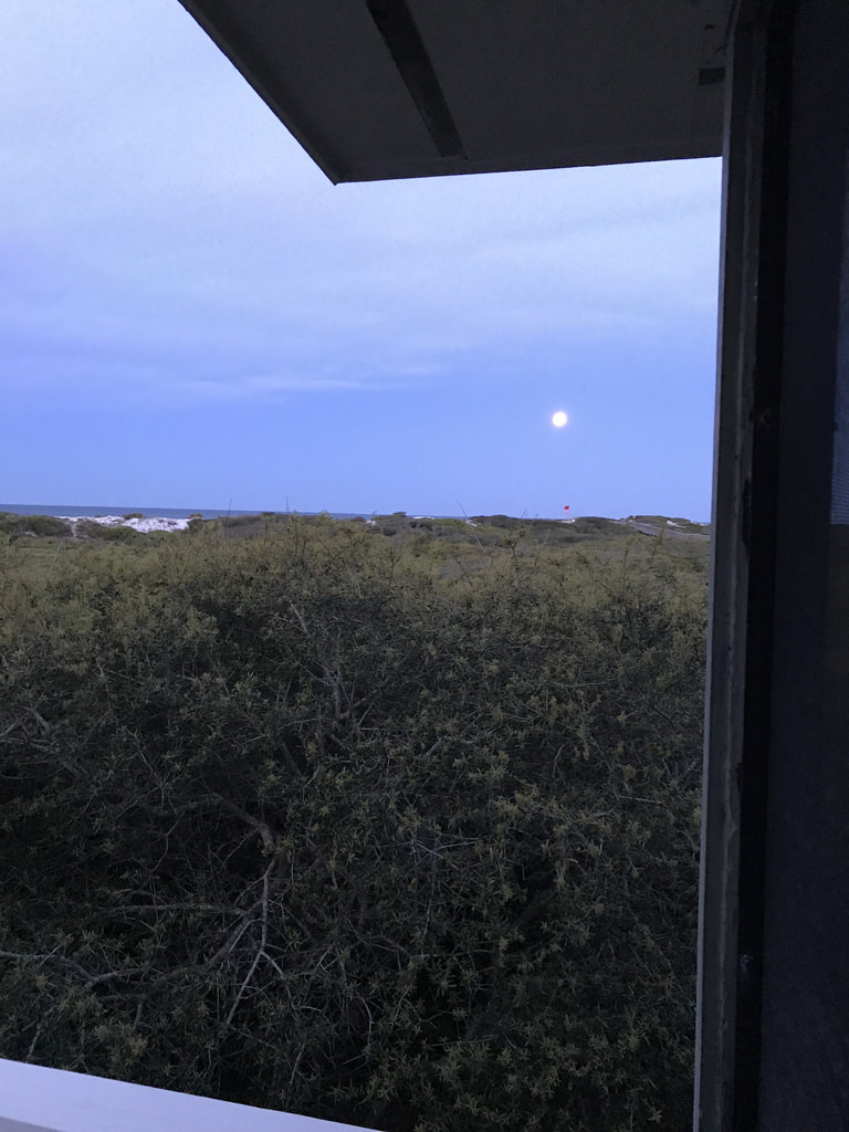 26539431477_815d773003_b