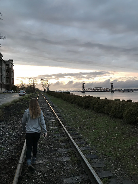 40613683464_7e66055454_z